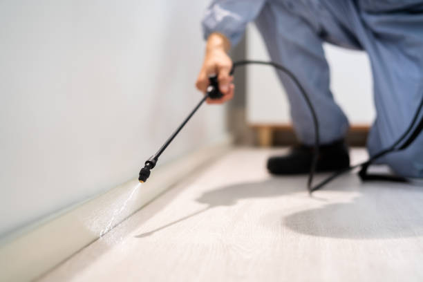 Licensed Termite Control service in Venice, FL - Show Me Pest Control